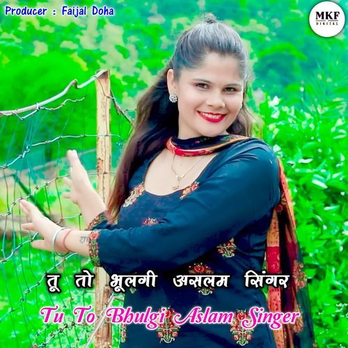 Tu To Bhulgi Aslam Singer Aslam Singer Zamidar MP3 Download