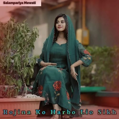 Rojina Ko Harbo Lio Sikh Salampariya Mewati MP3 Download