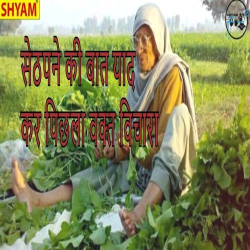 Seithpane Ki Baat Yad Kar Pichhla Waqt Vichara Kapoor Singh Rohdiya MP3 Download