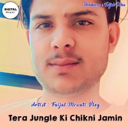 Tera Jungle Ki Chikni Jamin FAIJAL MEWATI VLOG MP3 Download
