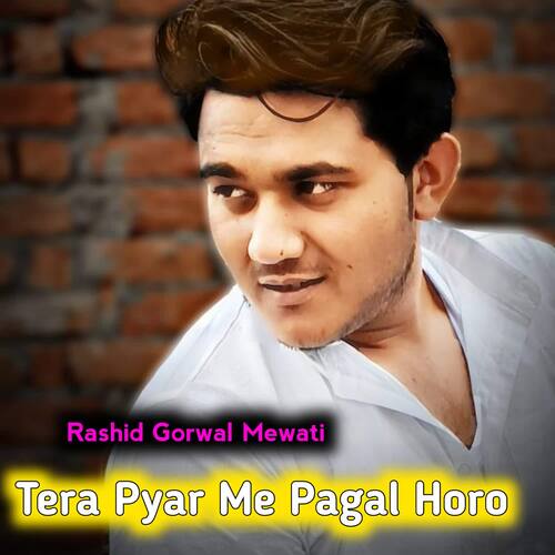 Tera Pyar Me Pagal Horo Rashid Gorwal Mewati MP3 Download