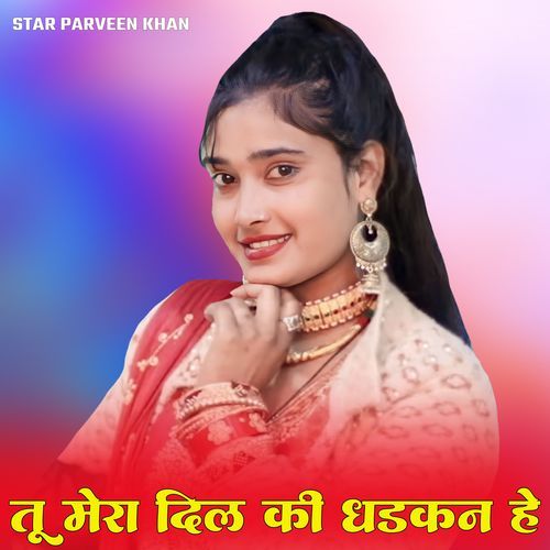 तु मेरा दिल की धड़कन है Star Parveen Khan MP3 Download