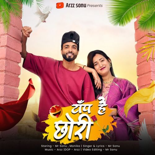 TOP HAI CHORI Mr Sonu MP3 Download
