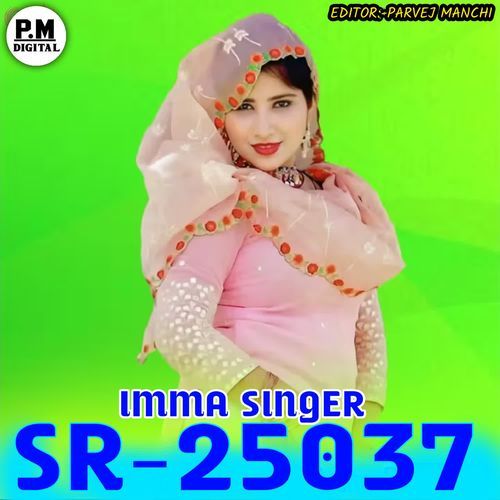 SR25037 IMMA SINGER Parvej Express Mewati MP3 Download