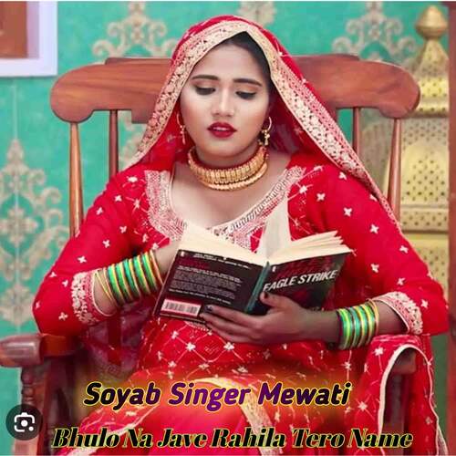 Bhulo Na Jave Rahila Tero Name Soyab Singer Mewati MP3 Download