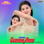 Gyarah Arab Old Mewati Album Download