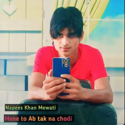 Mene to Ab tak na chodi Napees Khan Mewati MP3 Download