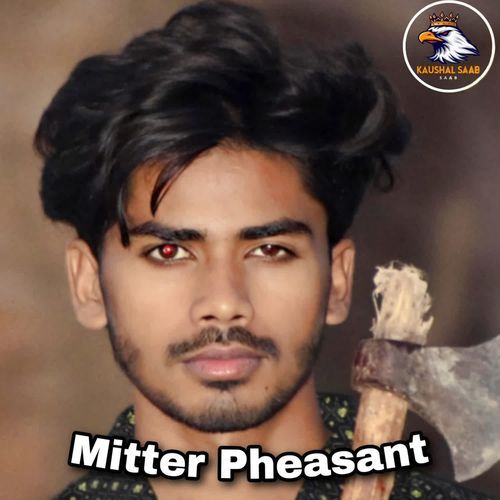 Mitter Pheasant Kaushal Saab MP3 Download