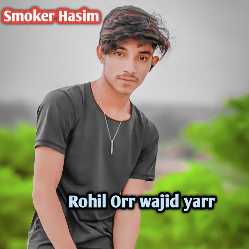 Rohil Orr wajid yarr (Mewati) Kaka Mewati MP3 Download