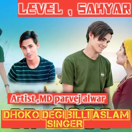 dhoko degi Billi Aslam singer MD parvej alwar MP3 Download