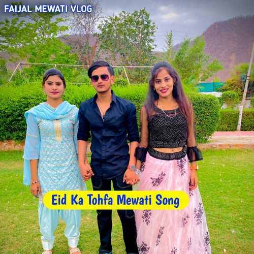 Eid Ka Tohfa Mewati Song Faijal Mewati Vlog  MP3 Download