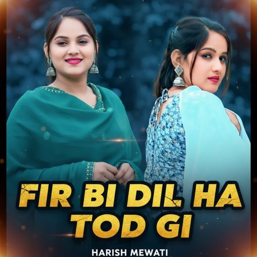 FIR BI DIL HA TOD GI Harish Mewati MP3 Download