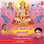 Teri Sharan Mein Balaji Album Download