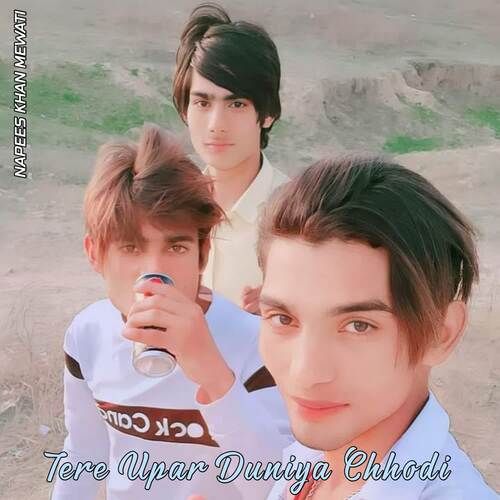 Tere Upar Duniya Chhodi Napees Khan Mewati MP3 Download
