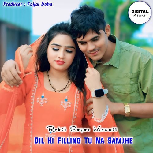 Dil Ki Filling Tu Na Samjhe Rohil Sayar Mewati MP3 Download
