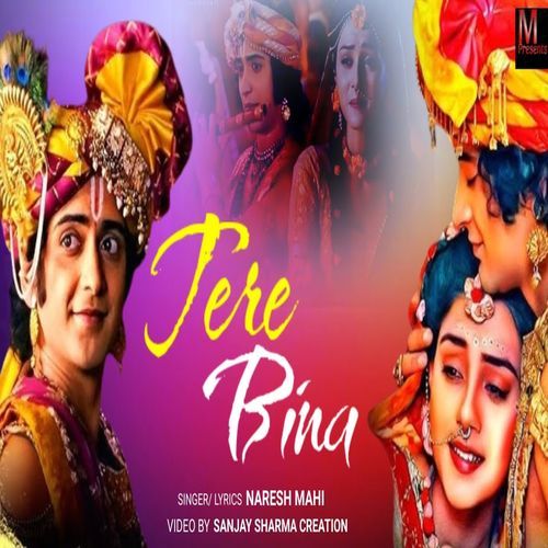 Tere Bina Naresh Mahi MP3 Download