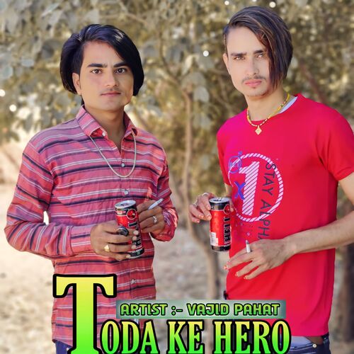Toda Ke Hero Vajid Pahat MP3 Download