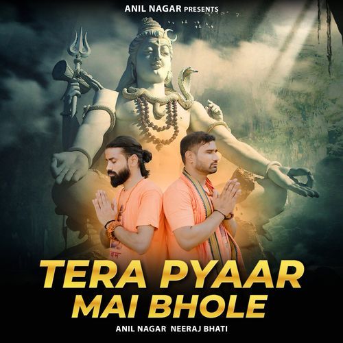 Tera Pyaar Mai Bhole Anil Nagar MP3 Download