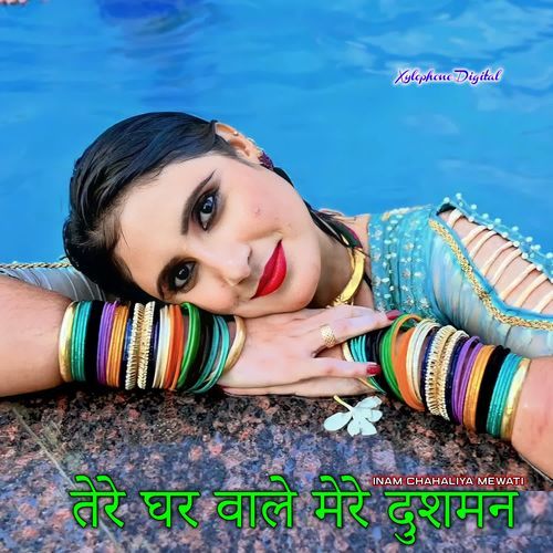 तेरे घर वाले मेरे दुशमन Inam Chahaliya Mewati MP3 Download
