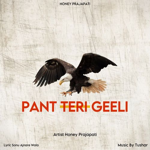 Pant Teri Geeli Honey Prajapati MP3 Download