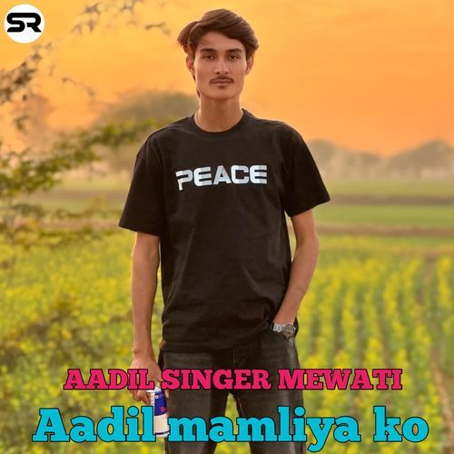 Aadil mamliya ka Aadil Singer Mewati MP3 Download