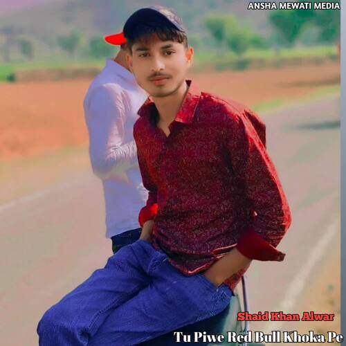 Tu Piwe Red Bull Khoka Pe Shaid Khan Alwar MP3 Download