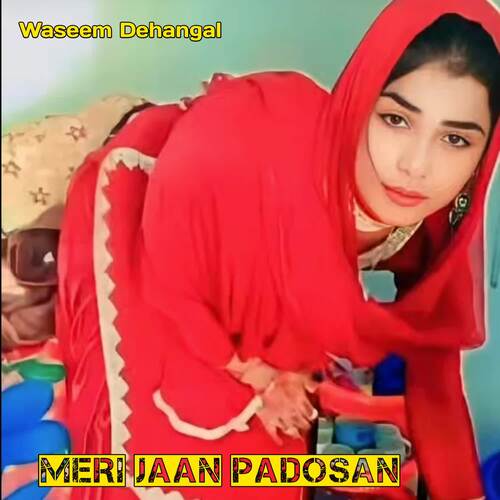 Meri Jaan Padosan Warish Dehangal MP3 Download