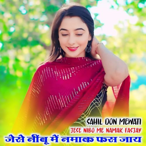 JESE NIBu ME NAMAK FAS JAY SAHIL DON MEWATI MP3 Download
