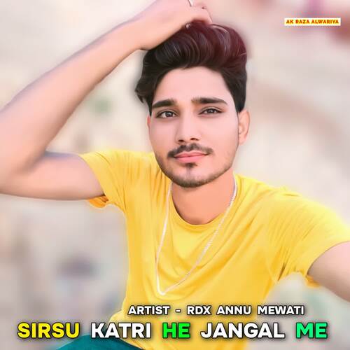 Sirsu Katri Ha Jangal Me Rdx Annu Mewati MP3 Download
