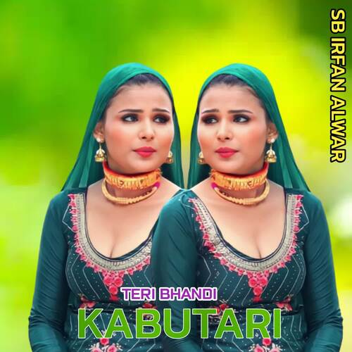 Teri Bhandi Kabutari SB Irfan Alwar MP3 Download