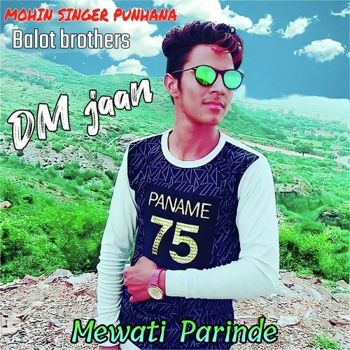 DM jaan Ansar ki (Mewati song) Mewati Parinde MP3 Download
