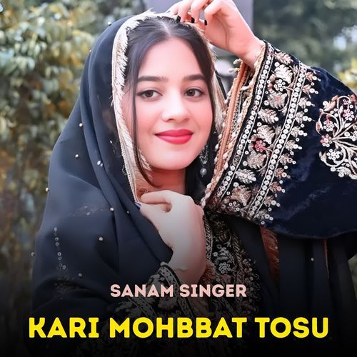 Kari Mohbbat Tosu Sanam Singer MP3 Download