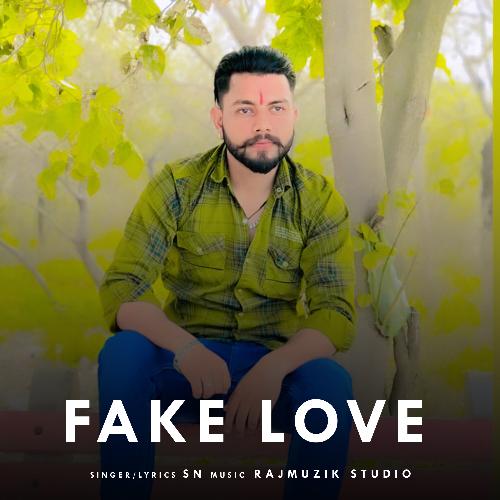 Fake Love SN MP3 Download