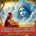 Sumit Kalanaur Ka Bhajan Sagar 1 Album Download