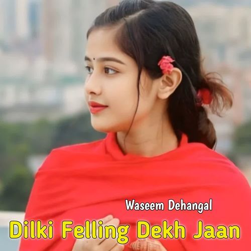 Dilki Felling Dekh Jaan Bandru Singer MP3 Download