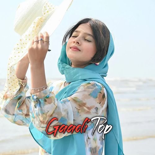 Gaadi Top 1 Afsana Alwar MP3 Download