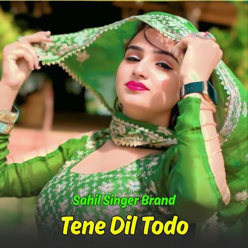 Tene Dil Todo Sahil Singer Brand MP3 Download