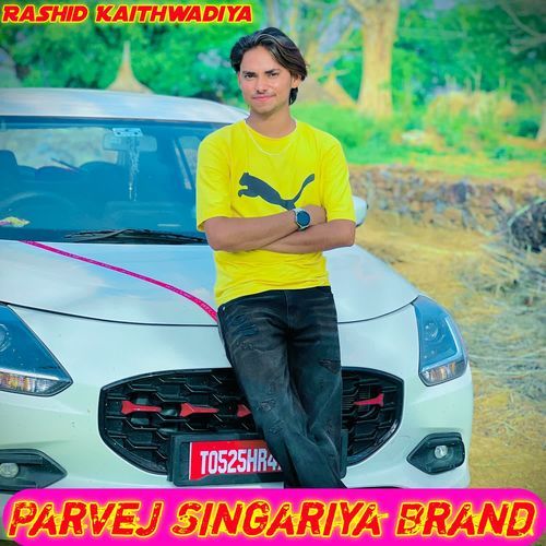 Parvej Singariya Brand Rashid kaithwadiya MP3 Download