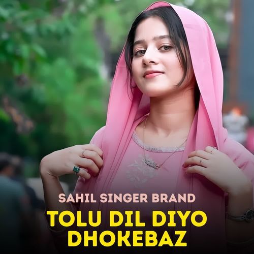 Tolu Dil Diyo Dhokebaz Sahil Singer Brand MP3 Download