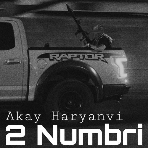 2 Numbri Akay Haryanvi MP3 Download
