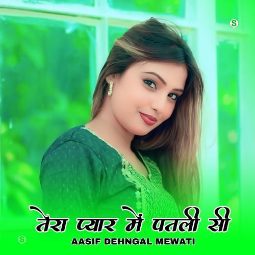 तेरा प्यार में पतली सी Mohin singer mewati MP3 Download