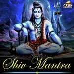 Shreya Manawat Songs MP3 Download