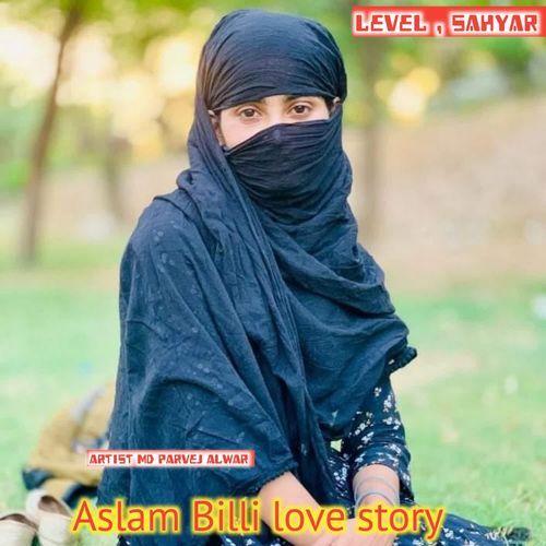 Aslam Billi love story MD parvej alwar MP3 Download
