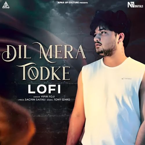 Dil Mera Todke (Lofi) Vipin Foji MP3 Download