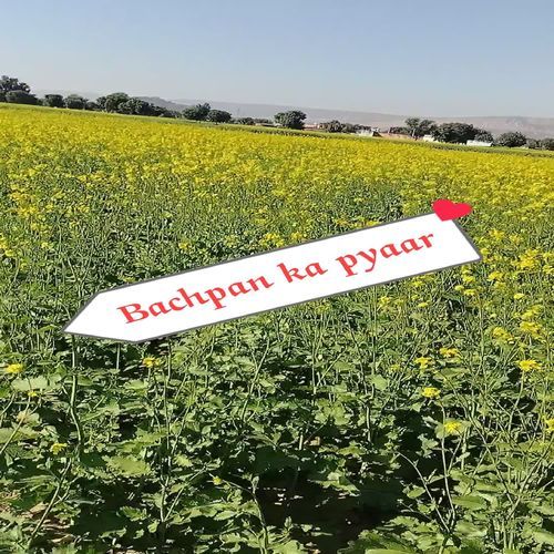 Bachpan ka pyaar Ansar alwar MP3 Download