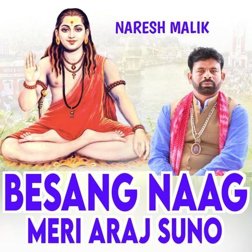 Besang Naag Meri Araj Suno NARESH MALIK MP3 Download