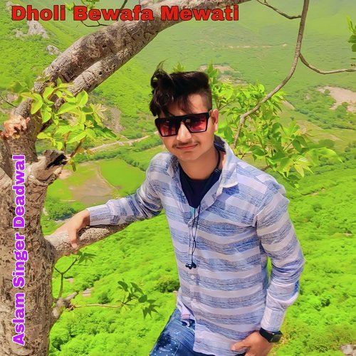 Dholi Bewafa Mewati Aslam Singer Deadwal MP3 Download