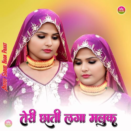 तेरी छाती लगा मलुक Sabud khan pahat MP3 Download