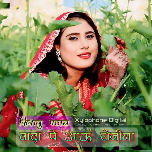 Wada Pe Aaun Rojina Siraju Pathan MP3 Download