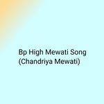 Bp High Mewati Song Album Download